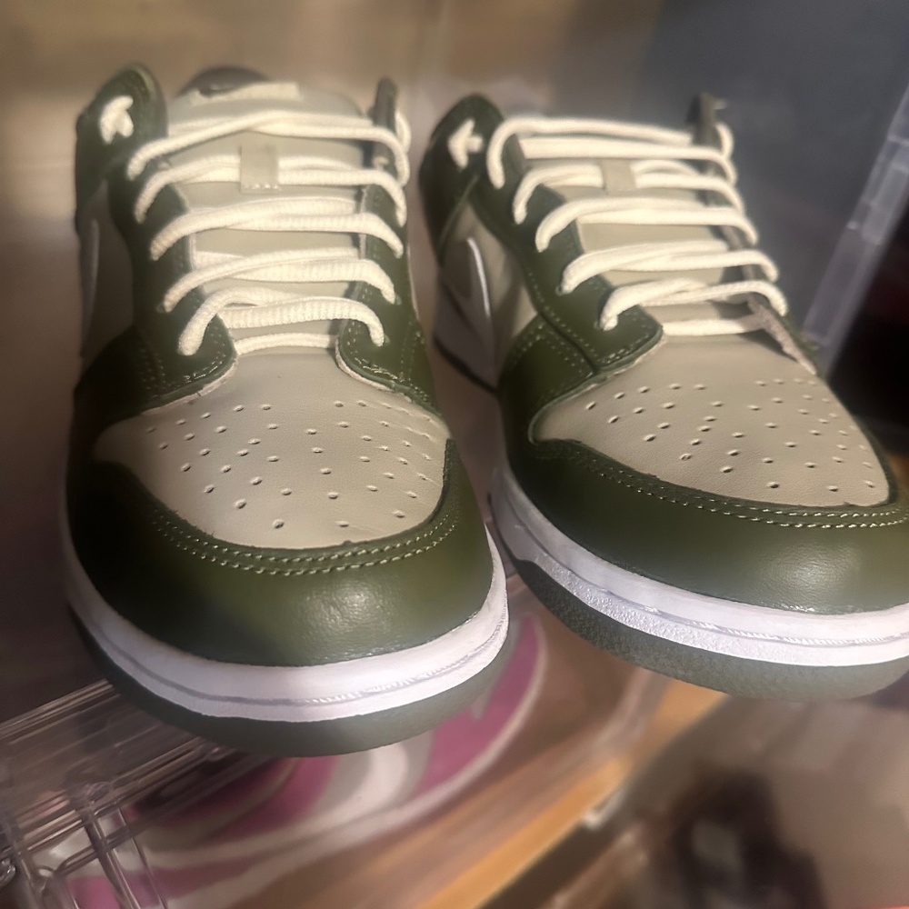 2004 Nike pro b dunk low